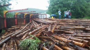 O bi-trem, que seguia de Couto Magalhães (MG) para Aracruz (ES), ficou atravessado na pista e a carga se espalhou no local