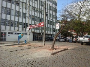 Greve01