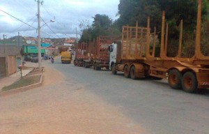 Os trabalhadores rodoviários contratados para o transporte de eucalipto para a Suzano, empresa do interior paulista, anunciaram a paralisação por tempo indeterminado