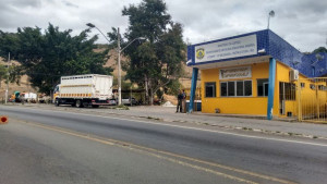 O animal foi recolhido pelos agentes nas proximidades da PRF 