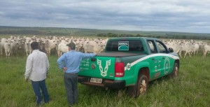 caravana02